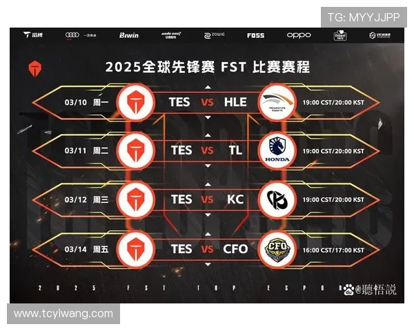 深入分析TES战队的节奏打法与战术布局解析