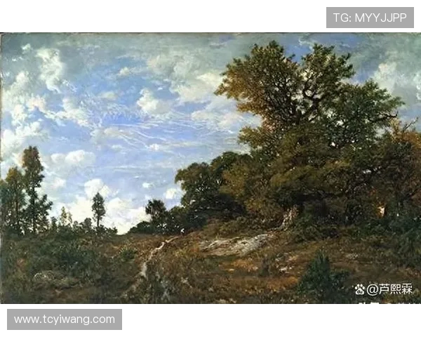 加莱诺的艺术之旅探索与启示：从传统到现代的跨越与融合